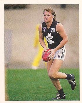 1993 Select AFL Stickers #56 Craig Bradley Front